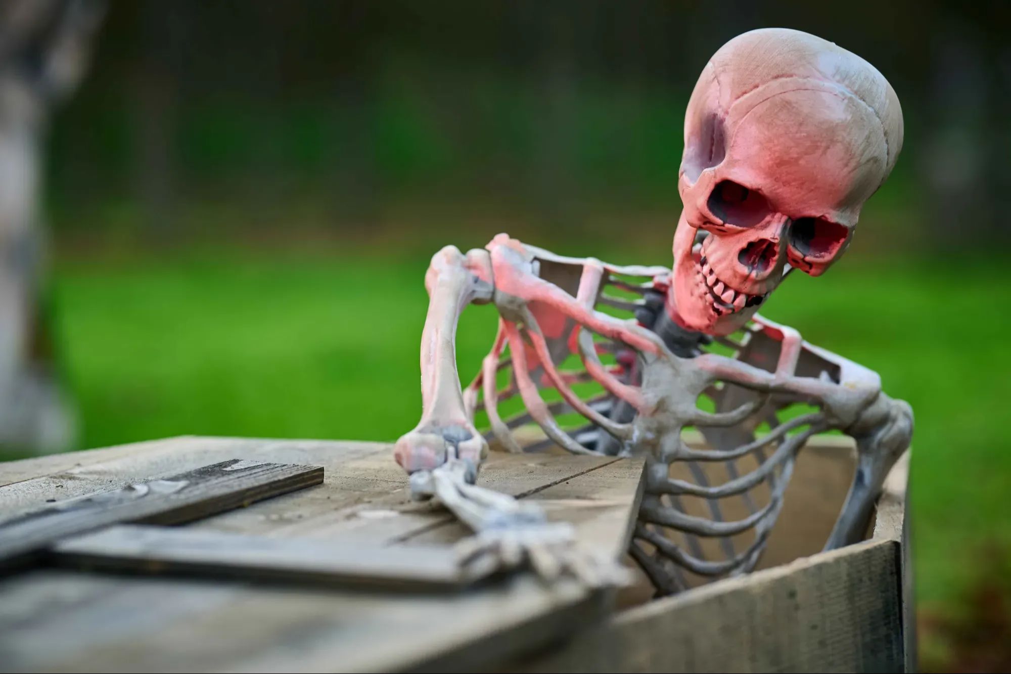 Immersive Halloween 2025 sets and shows at Parc de l'Étrange